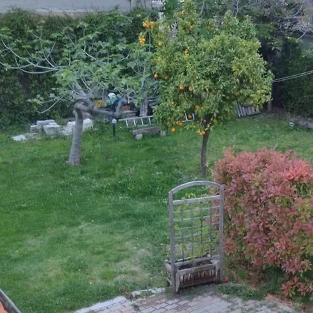 B&B Villa Filomena , Via Casale Felizzi 5 Bed & Breakfast *